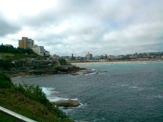 Mariana Cury Scaglione