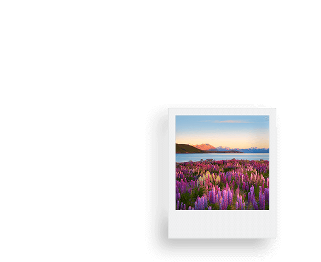 Paisagem com flores, rio e montanhas da Nova Zelândia