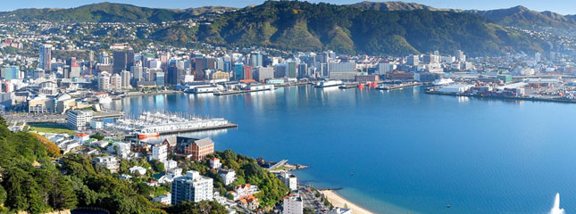 wellington