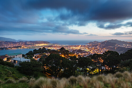 Entenda o clima de Wellington