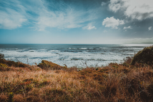 O que fazer em Wellington