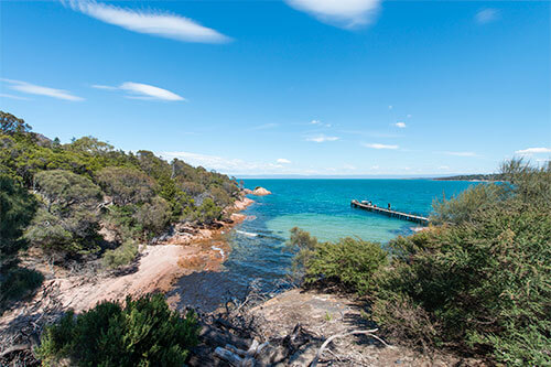 Experiência inesquecível em Hobart