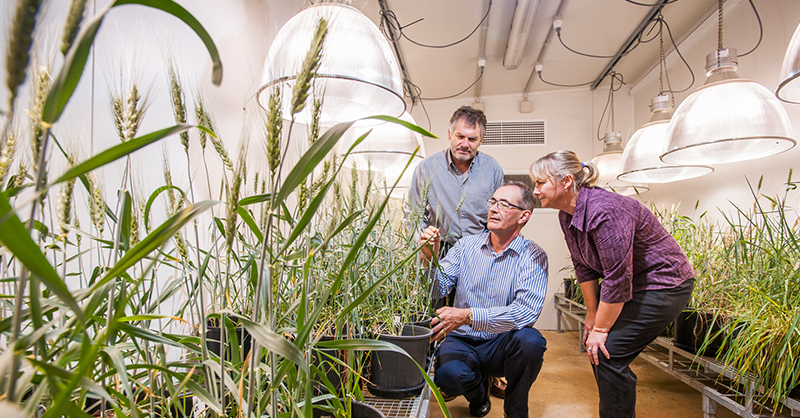 USQ - University of Southern Queensland