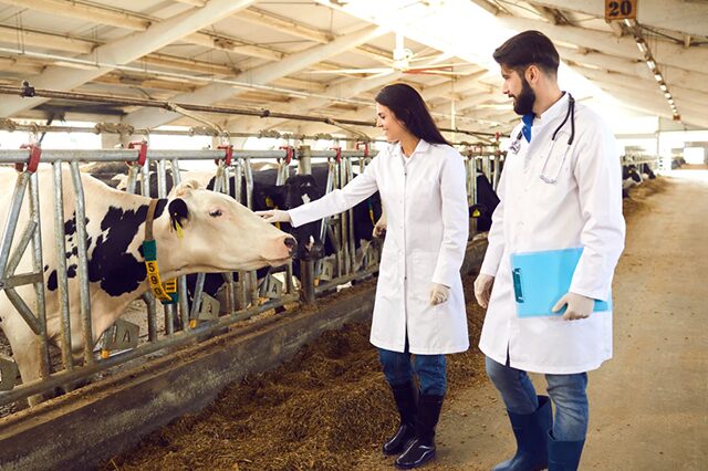 agencia especialista em intercambio na Australia 06