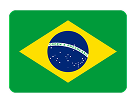 Brazilian market flag